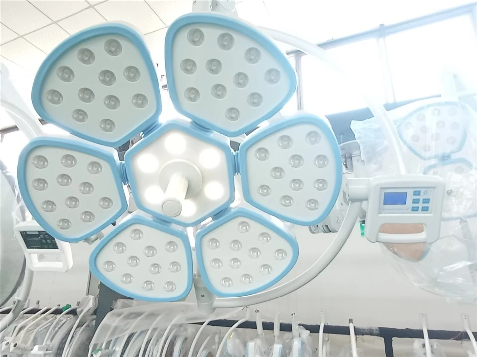Petal Shape OT Light price