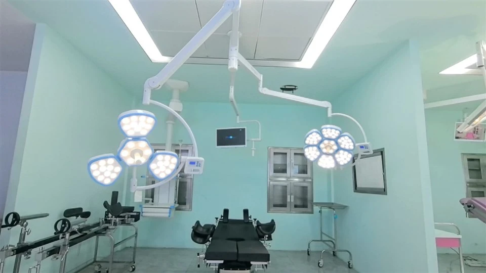 Petal Shape OT Light suppliers
